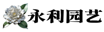 永利园艺 - 广西茉莉花苗批发、干花、鲜花及鲜切花供应